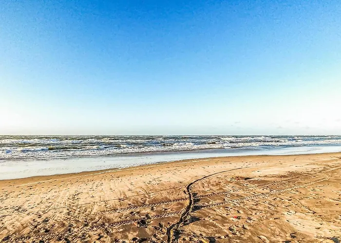 Cozy In With Wifi Apartamento *